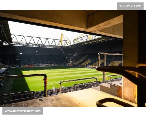 多特蒙德主场信号伊杜纳公园草皮系统升级完成